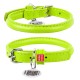 Collar Waudog Glamour Нашийник для собак шкіряний круглий салатовий