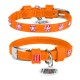 Collar Waudog Glamour Нашийник для собак шкіряний зі стразами Квіточка помаранчева
