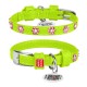 Collar Waudog Glamour Нашийник для собак шкіряний зі стразами Квіточка салатова