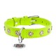 Collar Waudog Glamour Нашийник для собак шкіряний зі стразами Квіточка салатова