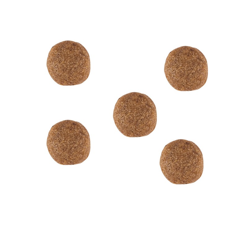 Royal Canin Gastro Intestinal Dog Canine Лікувальний корм для собак