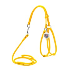 Collar Waudog Glamour Шлея з повідцем для котів та собак шкіряна кругла жовта