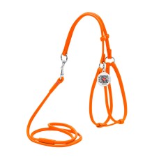 Collar Waudog Glamour Шлея з повідцем для котів та собак шкіряна кругла помаранчева
