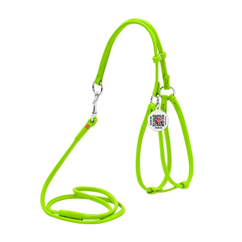 Collar Waudog Glamour Шлея з повідцем для котів та собак шкіряна кругла салатова