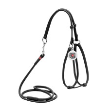 Collar Waudog Glamour Шлея з повідцем для котів та собак шкіряна кругла чорна