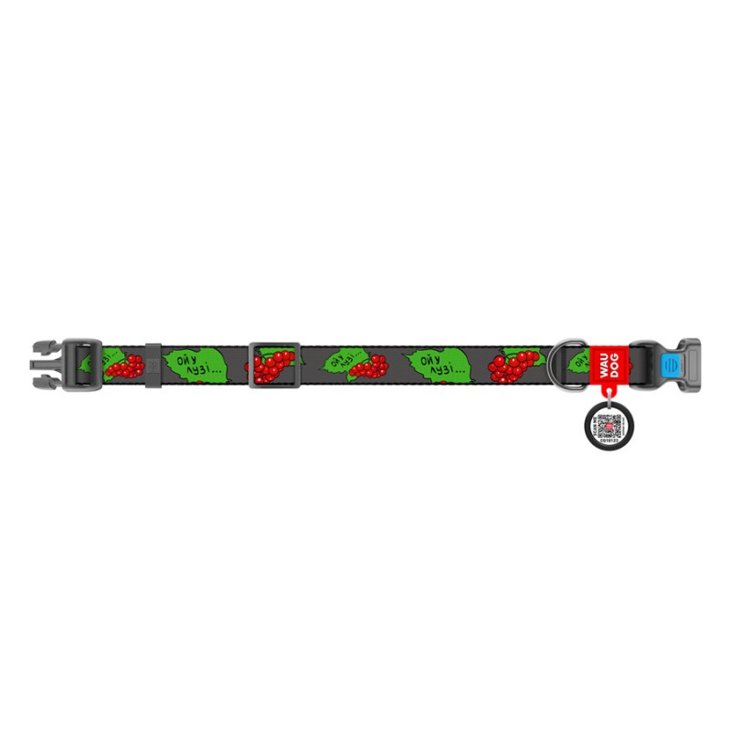 Collar Waudog Nylon Нашийник для собак нейлоновий c QR паспортом пластикова пряжка-фастекс Калина