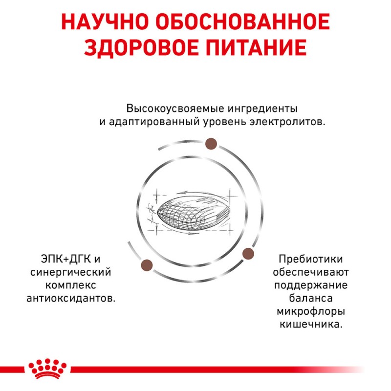 Royal Canin Gastro Intestinal Low Fat Dog Canine Лікувальний корм для собак