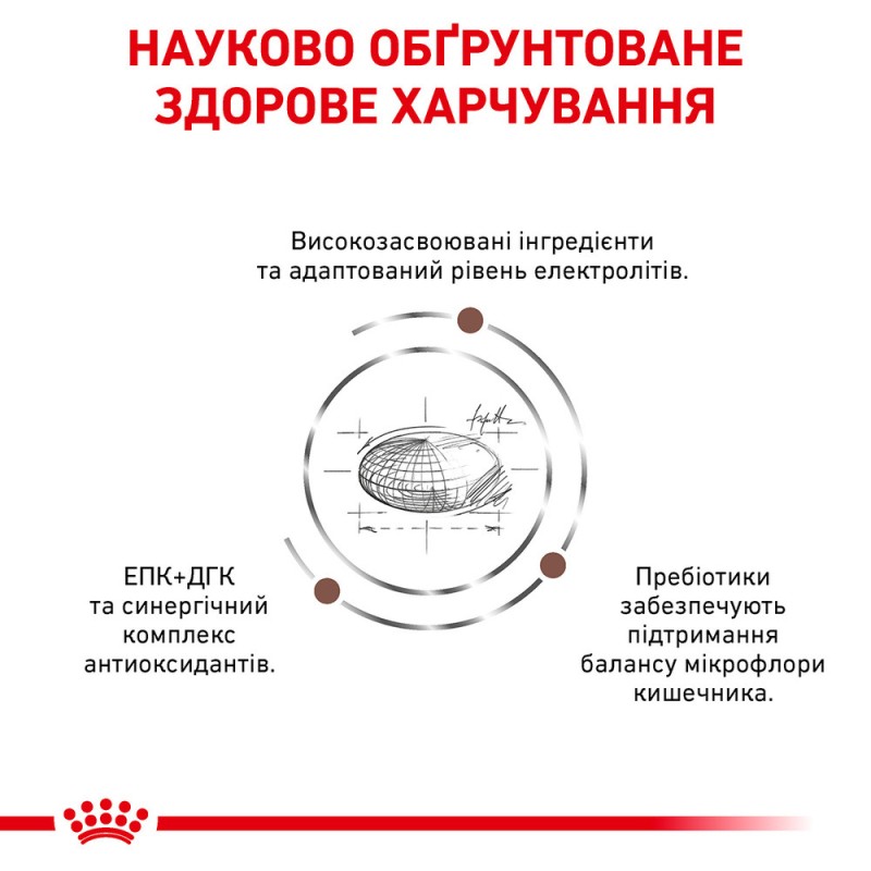 Royal Canin Gastro Intestinal Moderate Calorie Feline Лікувальний корм для дорослих кішок