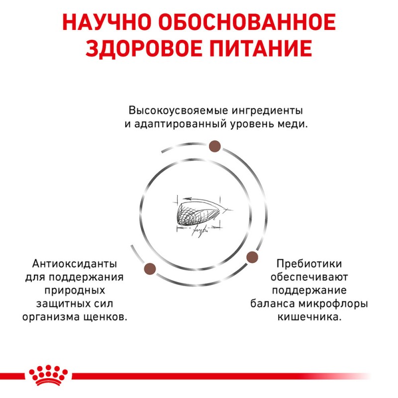 Royal Canin Gastro Intestinal Puppy Canine Лікувальний корм для цуценят