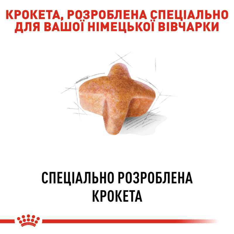 Royal Canin German Shepherd Adult Сухий корм для собак