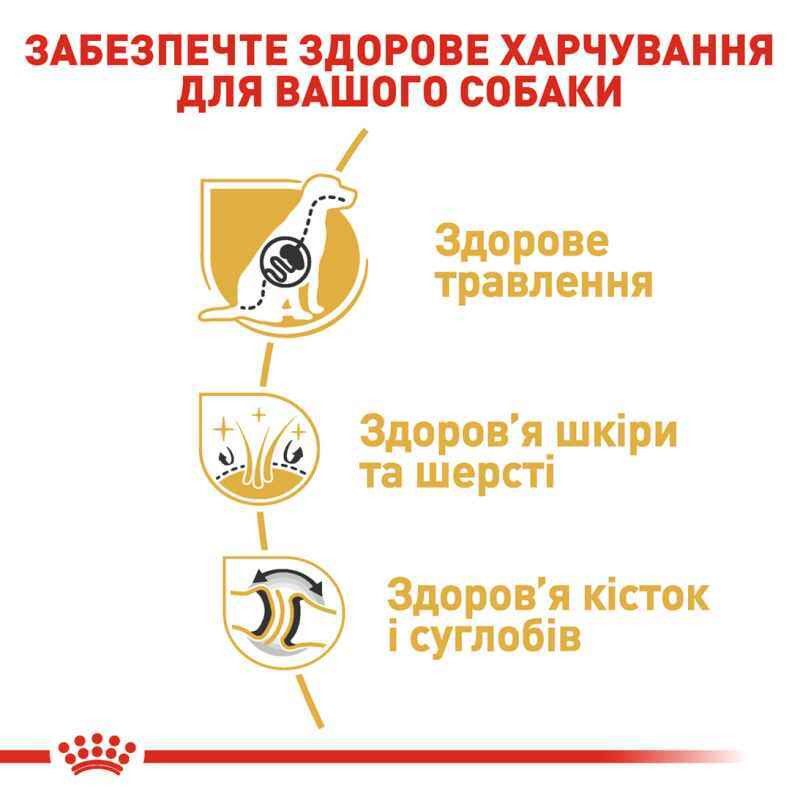 Royal Canin German Shepherd Adult Сухий корм для собак