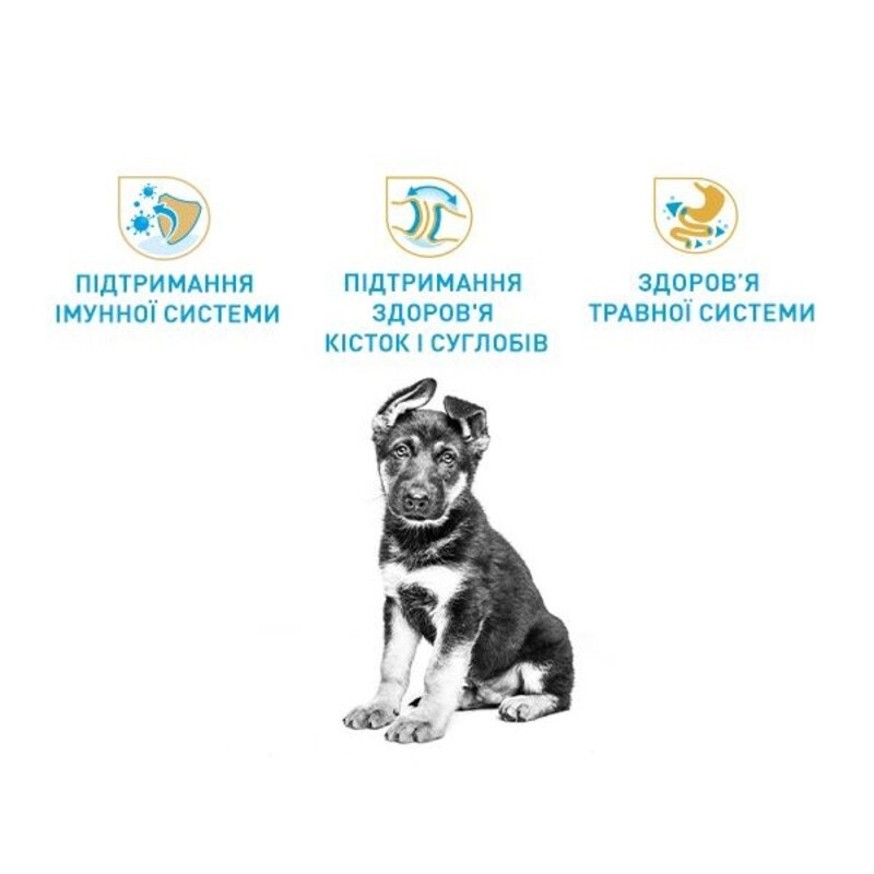 Royal Canin German Shepherd Puppy Сухий корм для цуценят