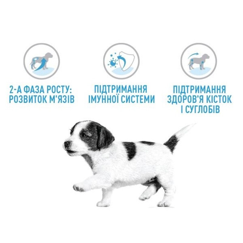 Royal Canin Giant Junior Сухий корм для цуценят