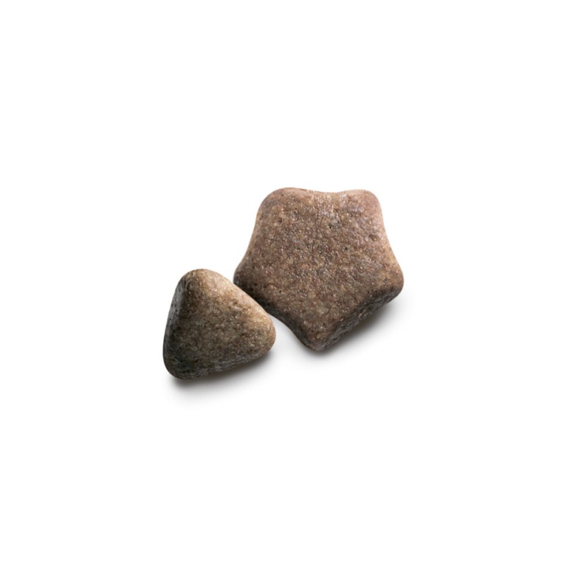 Dog Chow Adult Lamb Сухий корм для дорослих собак з ягнятком