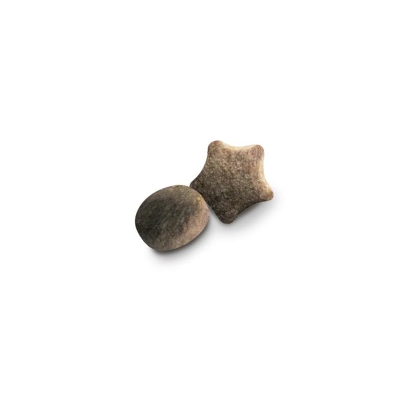 Dog Chow Puppy Large Breed Сухий корм для цуценят великих порід з індичкою