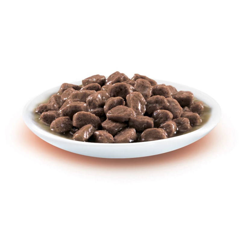 Friskies Консерви для дорослих кішок з печивом шматочки в підливі