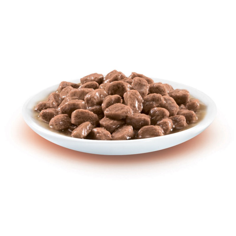 Friskies Консерви для дорослих кішок з качечками у підливі