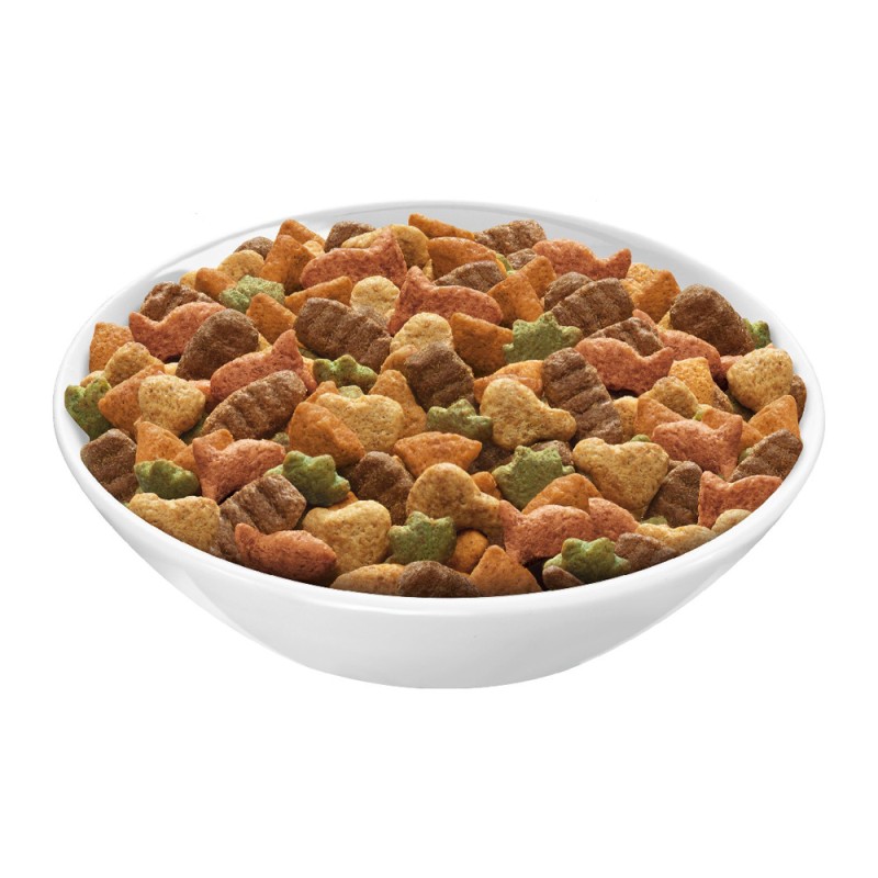 Friskies Indoor Сухий корм для дорослих кішок