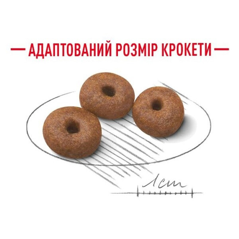 Royal Canin Giant Starter Сухий корм для цуценят