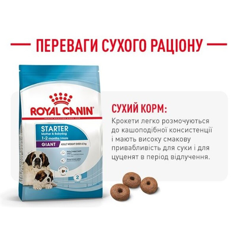 Royal Canin Giant Starter Сухий корм для цуценят