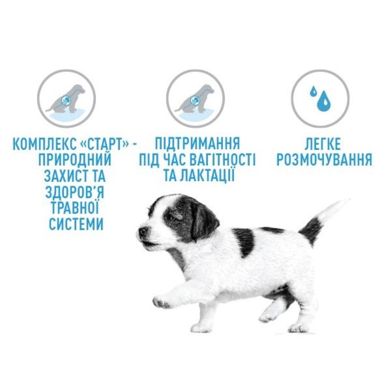 Royal Canin Giant Starter Сухий корм для цуценят