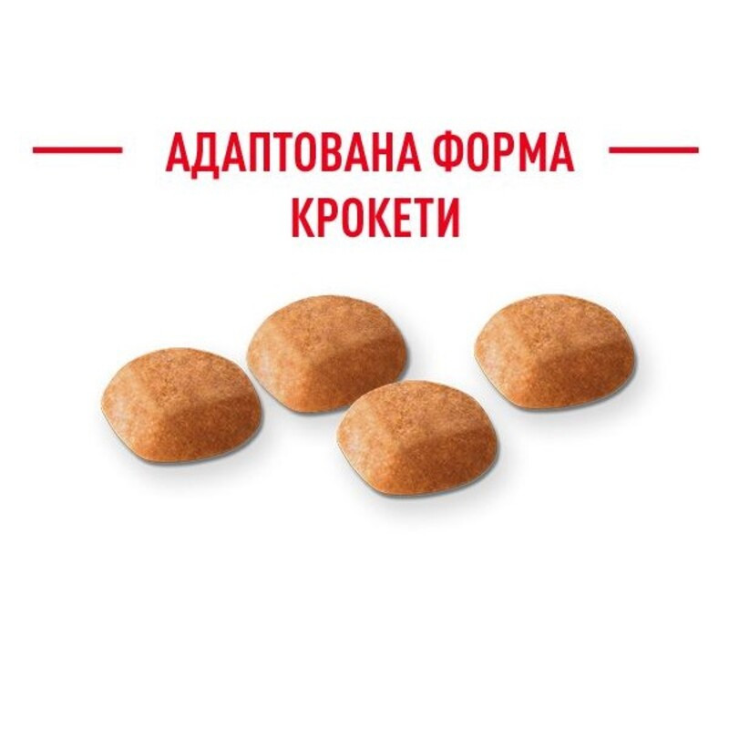 Royal Canin Golden Retriever Puppy Сухий корм для цуценят