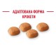 Royal Canin Golden Retriever Puppy Сухий корм для цуценят