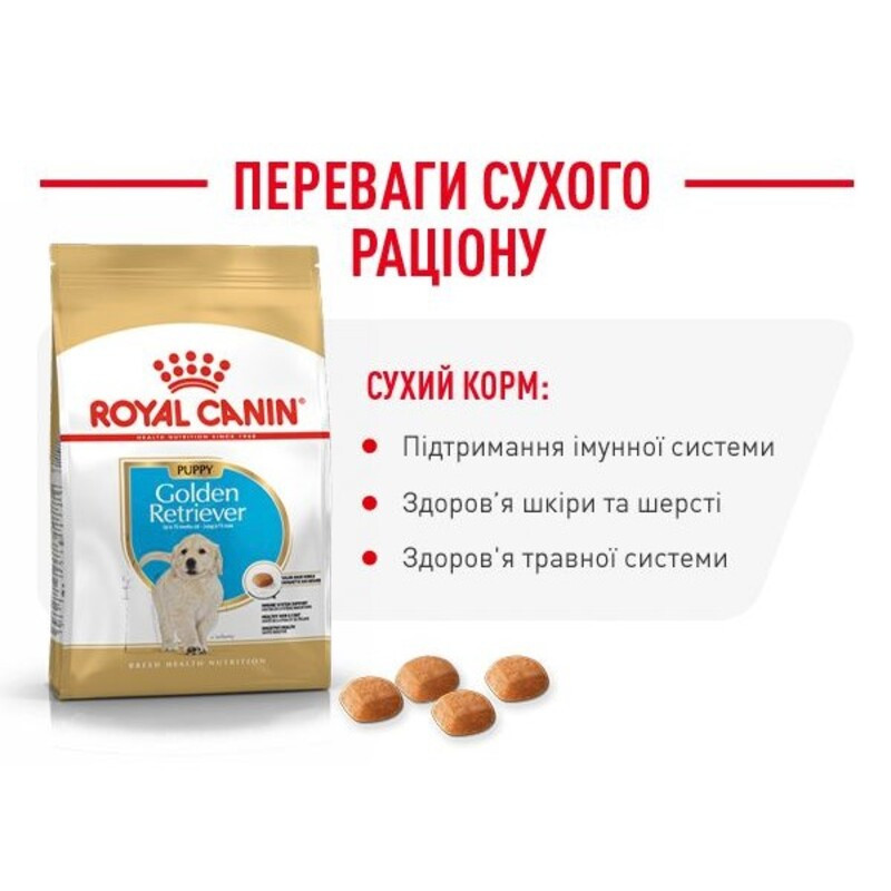 Royal Canin Golden Retriever Puppy Сухий корм для цуценят