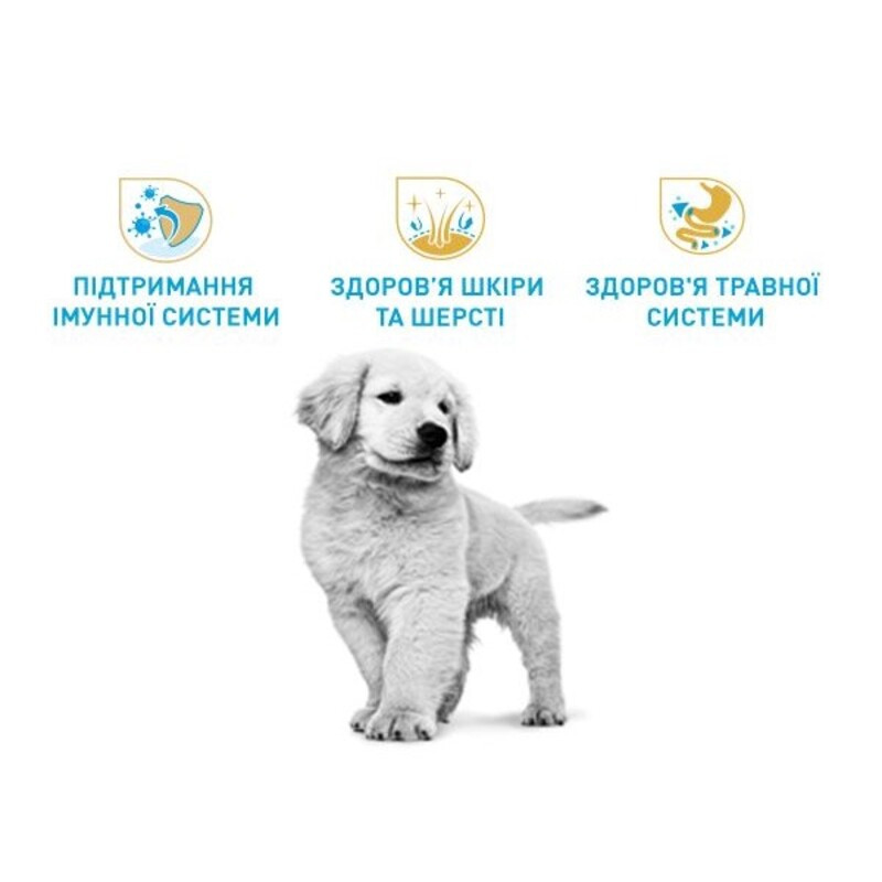 Royal Canin Golden Retriever Puppy Сухий корм для цуценят