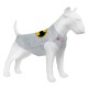 Collar Waudog Clothes Майка для собак малюнок 