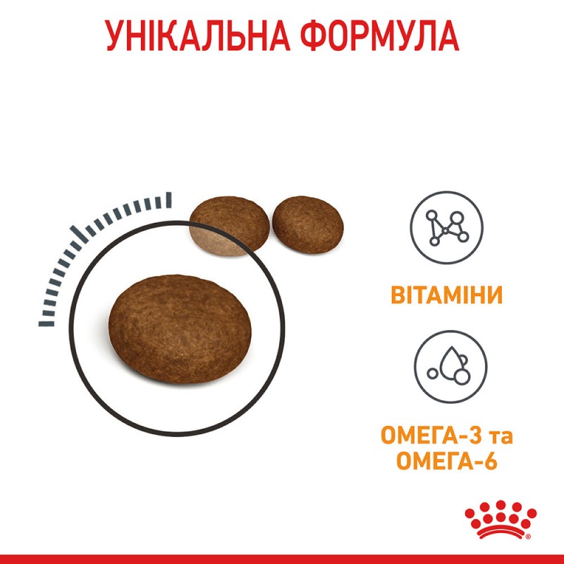 Royal Canin Hair&Skin Care Сухий корм для дорослих кішок