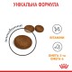 Royal Canin Hair&Skin Care Сухий корм для дорослих кішок