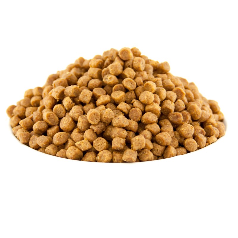 Pro Plan Original Kitten Сухий корм для кошенят з куркою