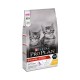Pro Plan Original Kitten Сухий корм для кошенят з куркою