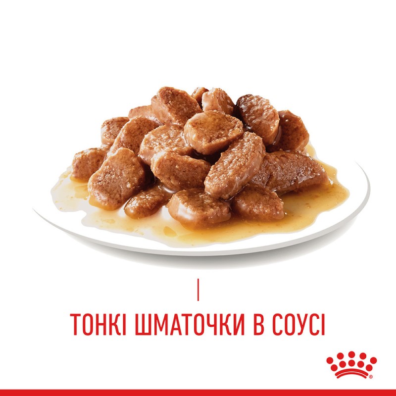 Royal Canin Hairball Care Консерви для дорослих кішок