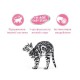 Royal Canin Babycat Instinctive Консерви для кошенят