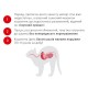 Royal Canin Babycat Instinctive Консерви для кошенят