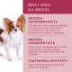 Optimeal Adult Dog Beef and Cranberries Консерви для дорослих собак з яловичиною та журавлиною в желе