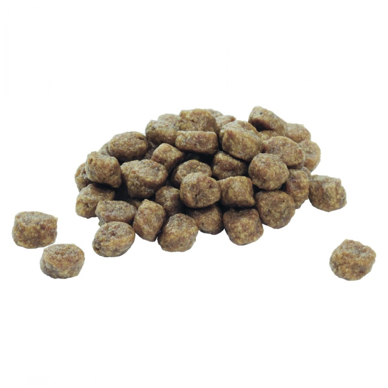 Pro Plan Small & Mini Puppy Сухий корм для цуценят дрібних порід