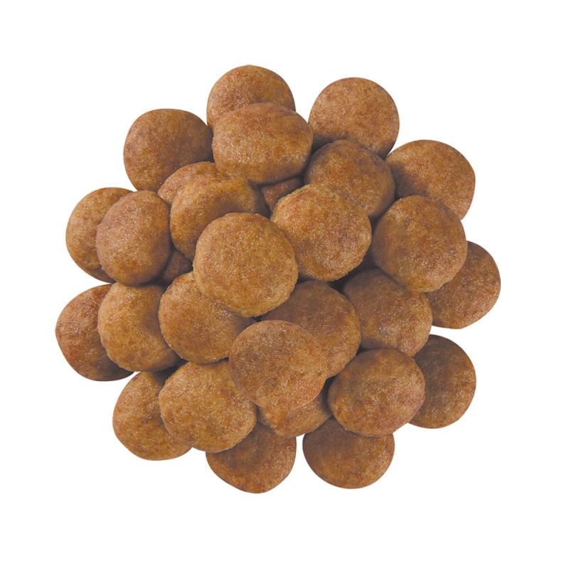 Royal Canin Hypoallergenic Dog Canine Лікувальний корм для собак