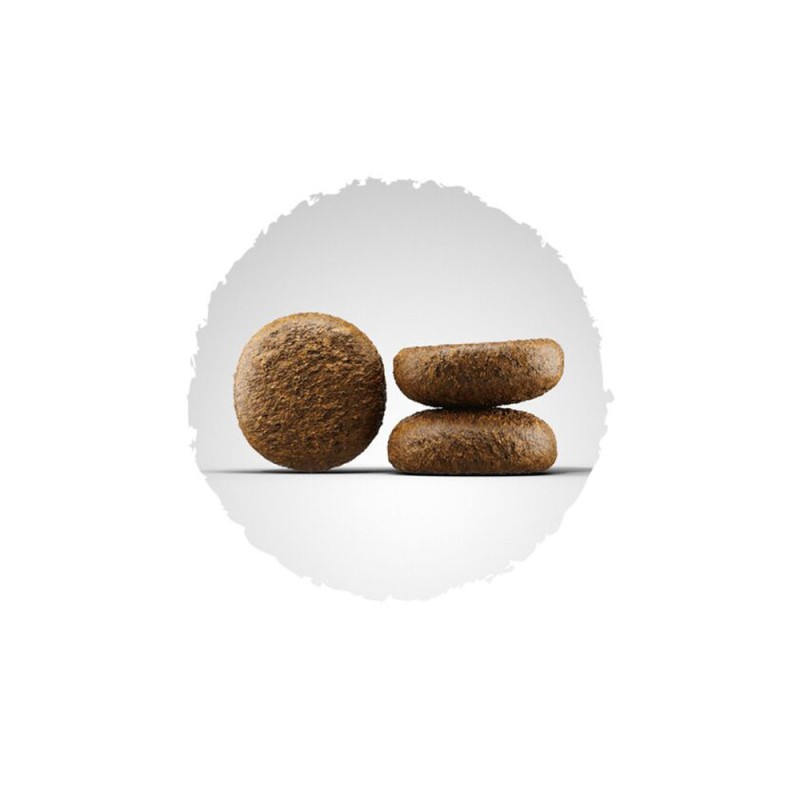 Josera Active Nature Сухий корм для дорослих активних собак
