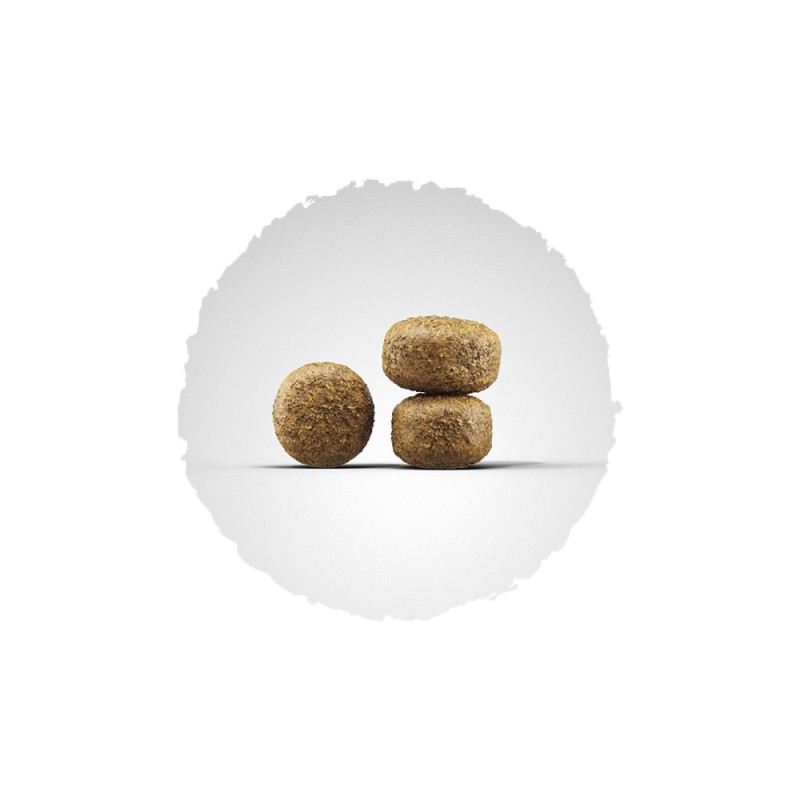 Josera Balance Сухий корм для дорослих літніх собак