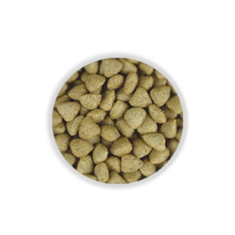 Josera JosiCat Crunchy Poultry Сухий корм для дорослих кішок з м'ясом свійської птиці