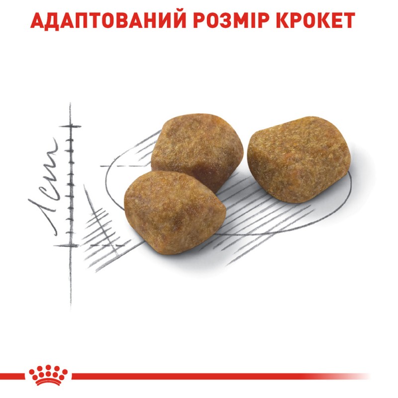 Royal Canin Indoor 7+ Сухий корм для дорослих кішок