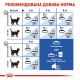 Royal Canin Indoor 7+ Сухий корм для дорослих кішок