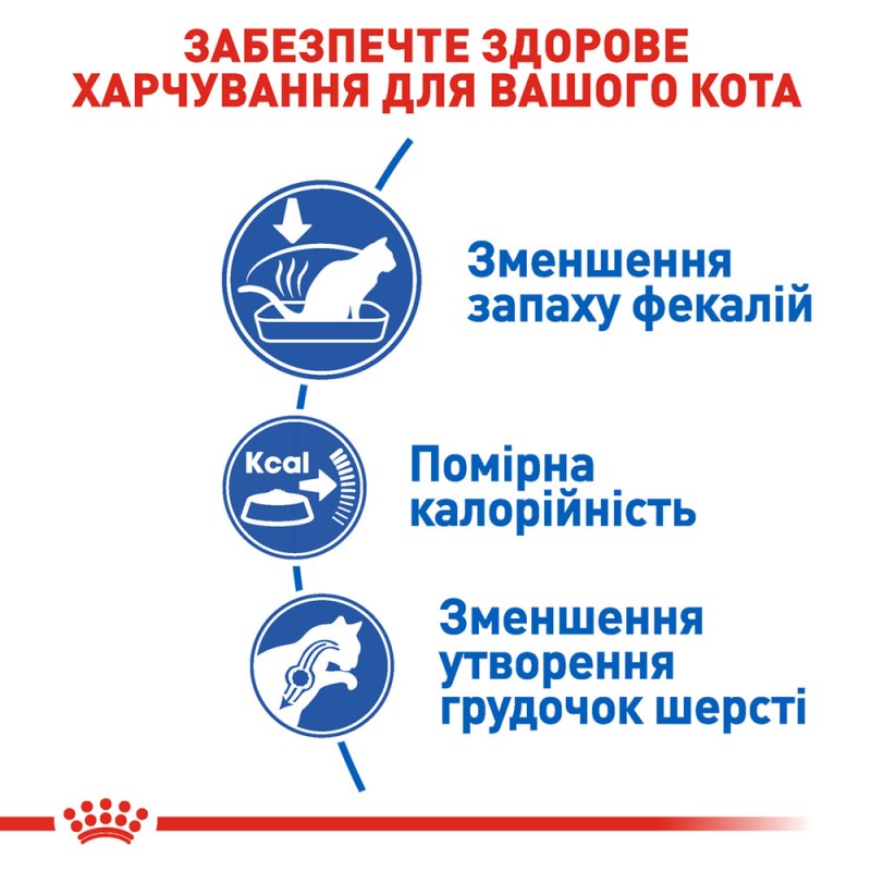 Royal Canin Indoor Сухий корм для дорослих кішок