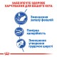 Royal Canin Indoor Сухий корм для дорослих кішок
