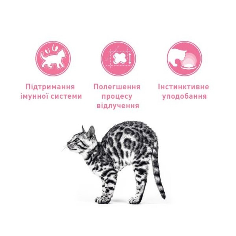 Royal Canin Mother&Babycat Сухий корм для кошенят