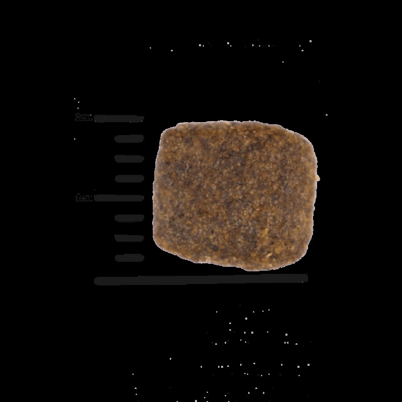 Josera Green Petfood InsectDog Adult Hypoallergen mit Insektenprotein Беззерновий гіпоалергенний сухий корм для дорослих собак із протеїном комах