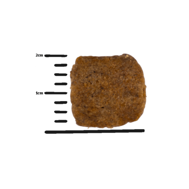 Josera Green Petfood VeggieDog Adult Grainfree Kartoffel & Erbse Беззерновий вегетаріанський сухий корм для дорослих собак з картоплею та горохом